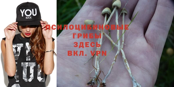 каннабис Богородск