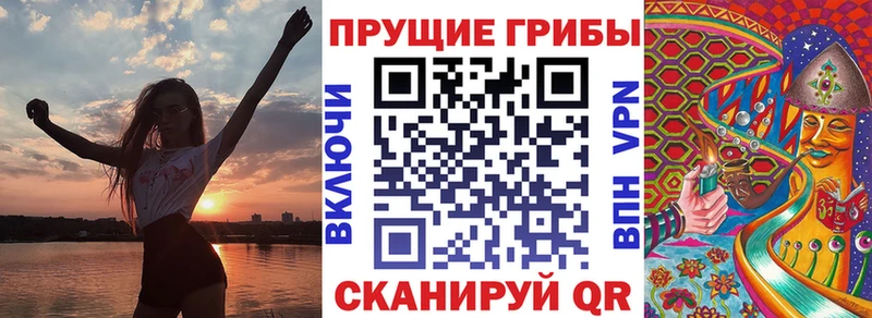 Купить закладки Грайворон Галлюциногенные грибы прущие грибы