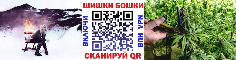 Купить закладки  Грайворон  Канабис семена 